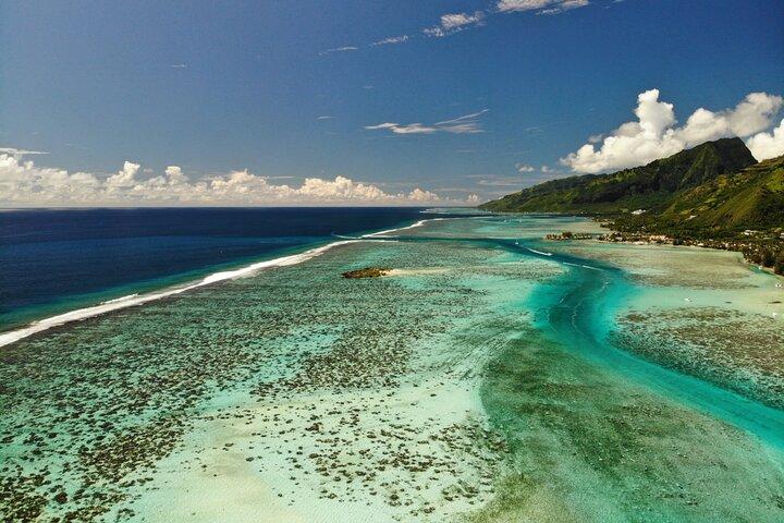 Discovery of the lagoon DE Moorea Visit and Snorkeling 5 Pax Max