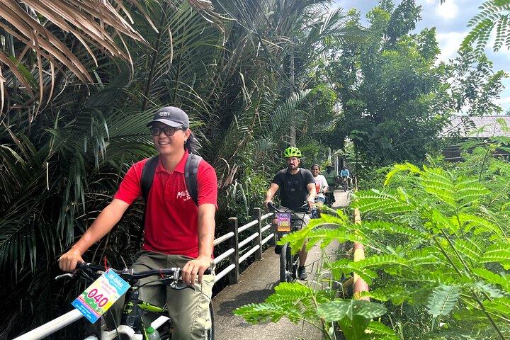 Bangkok Green Oasis Nature Bike Tour with Local Lunch