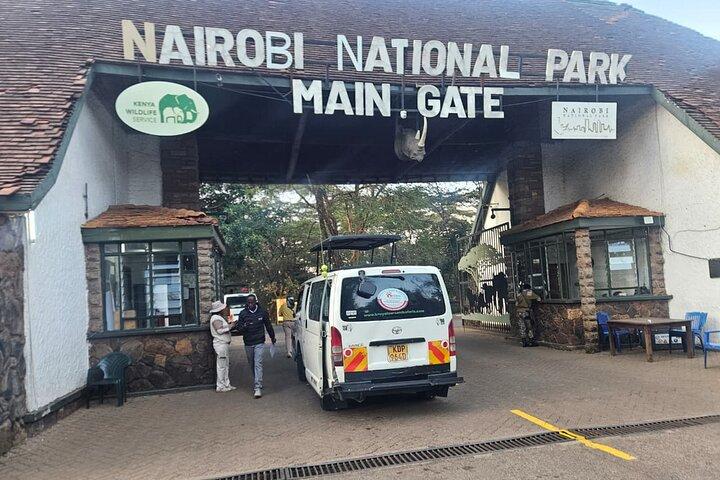 Nairobi National Park Guided Safari Tour for Wildlife Enthusiasts
