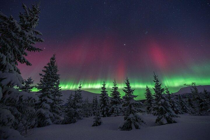 Tromsø: Aurora Magic Northern Lights Tour with Photos