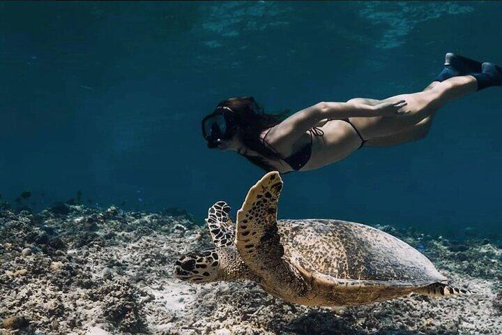 4-in-1 Nusa Lembongan Snorkel and Sunset Half Day Dinner Cruise