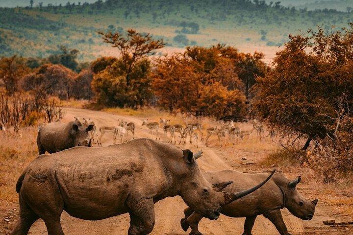 Adventure in Akagera Wildlife Park