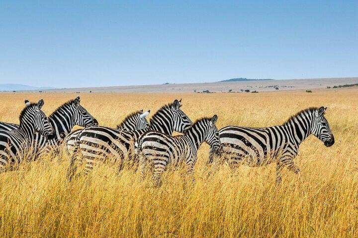 Adventure in Akagera Wildlife Park