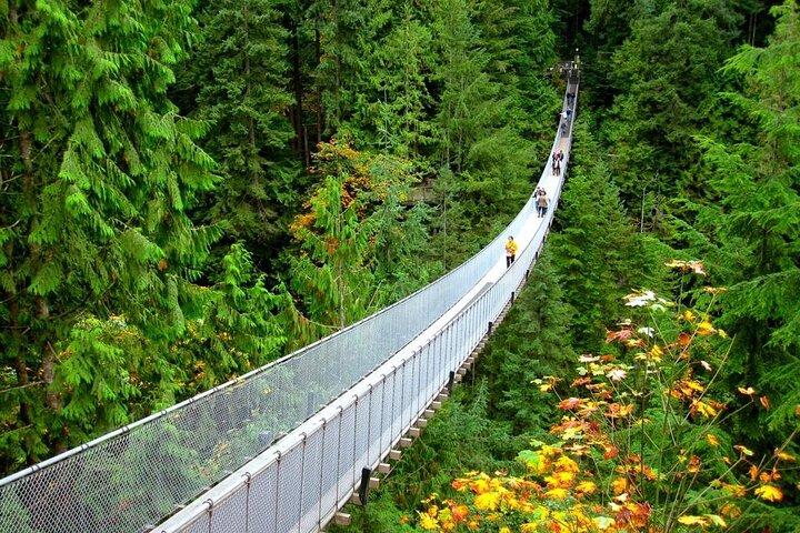 Capilano Suspension Bridge and Grouse Mountain Signature Tour
