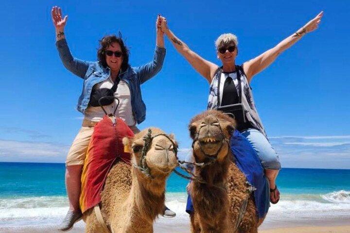 Tangier Tour 5 Hour Private All Included camel Ride