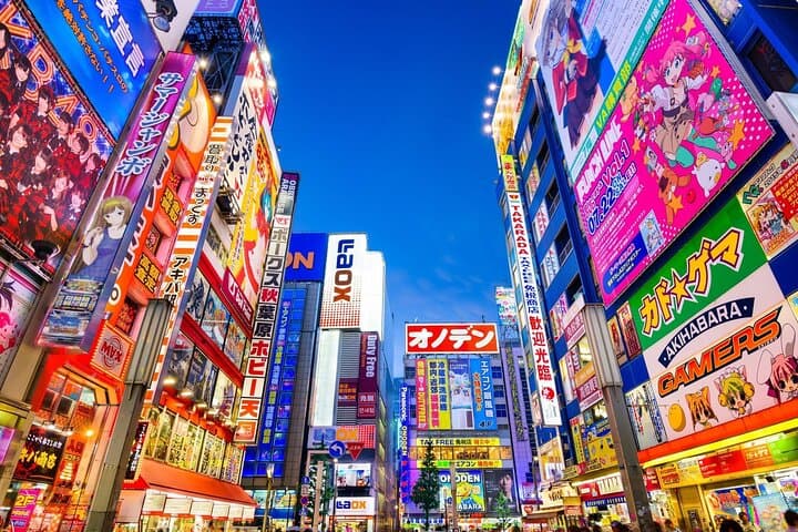 Multiple 4 day tour Tokyo Fuji Nikko Kamakura Private Tour