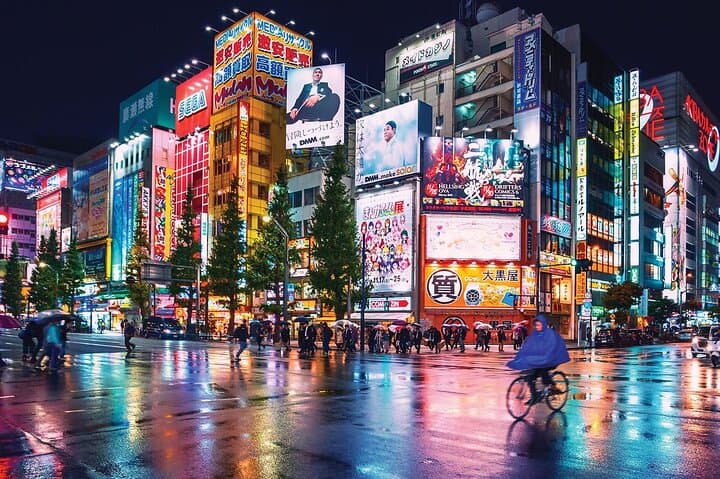 Multiple 4 day tour Tokyo Fuji Nikko Kamakura Private Tour
