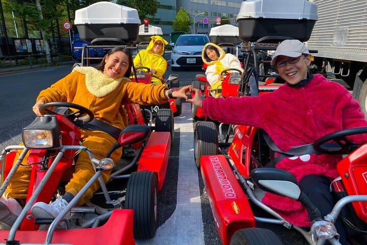 Akihabara: Go-Kart Experience with Local Guide in Tokyo