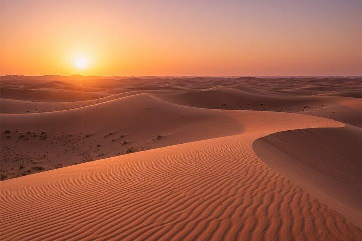 Dubai Desert Safari with Quad Bike Camel Ride Dinner and Shows