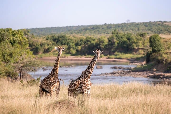 Shared Naivasha Safari Adventure Tour by 4WD