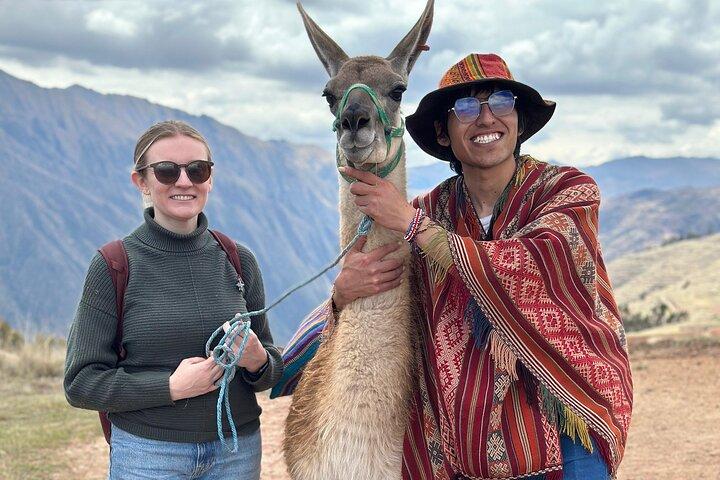 Llama & Alpaca Experience (Cusco Region): ANDEAN COLORS