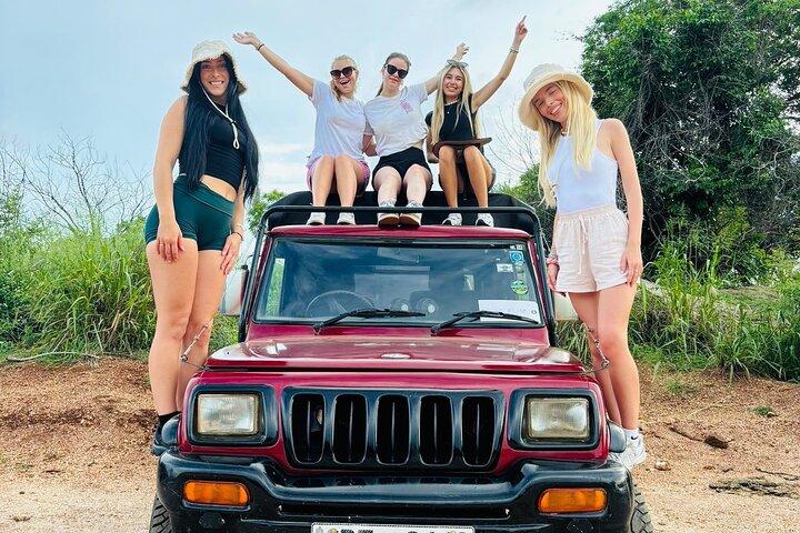Cultural Triangle and Wildlife Safari 3 Days 2 Nights tour