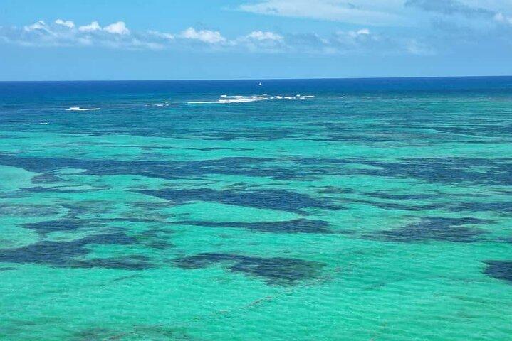 Saona Island from Punta Cana : Catamaran and All Inclusive