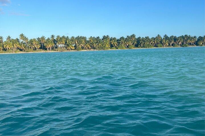 Saona Island from Punta Cana : Catamaran and All Inclusive