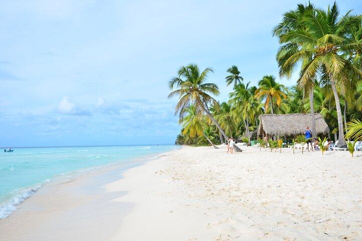 Saona Island from Punta Cana : Catamaran and All Inclusive