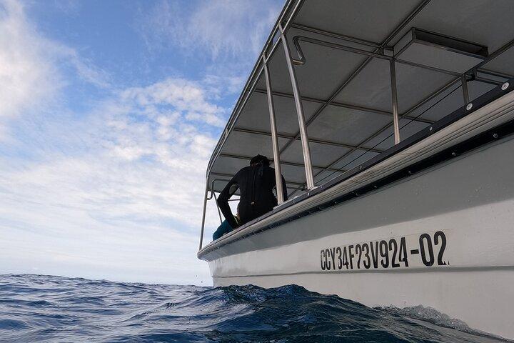 Puerto Plata Shore Excursion, Snorkeling tour & Sosua Beach Day