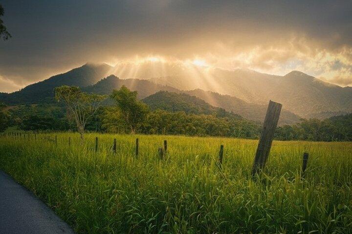 Half Day El Yunque Tour, Waterslide and Rope Swing Adventure