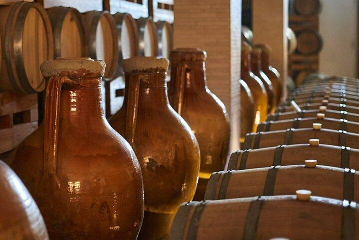Primitivo Wine Tasting in Manduria with Optional Apulian Lunch