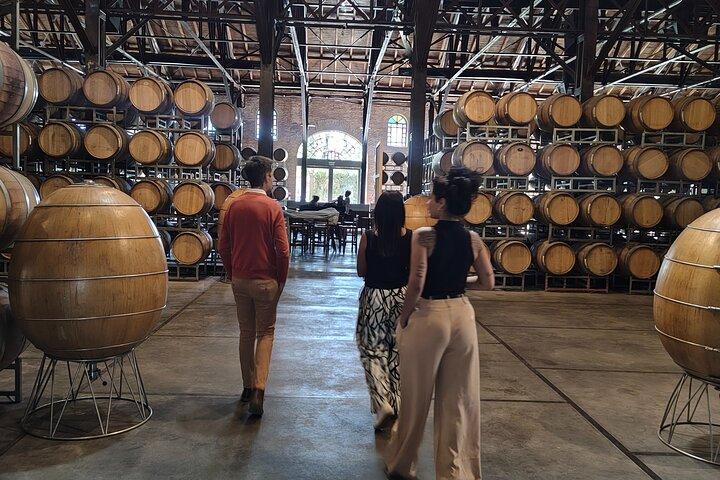 Mendoza Winery Tour with Olive Trees in Private Service