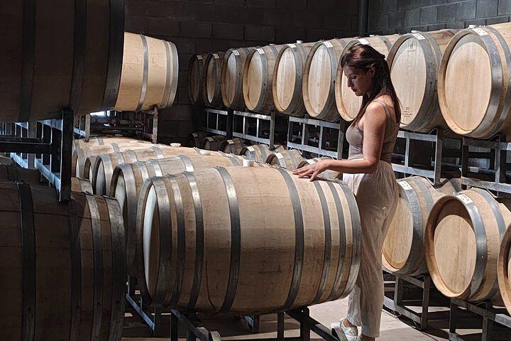Mendoza Winery Tour with Olive Trees in Private Service