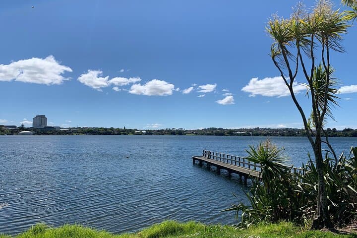 Volcanoes, Coasts, and Secret Spots Afternoon Tour in Auckland