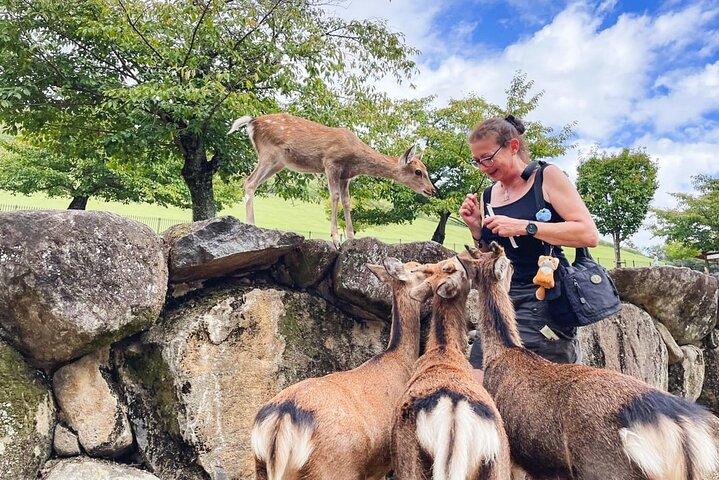 Nara Half Day Trip Walking Tour (Private Option Available)