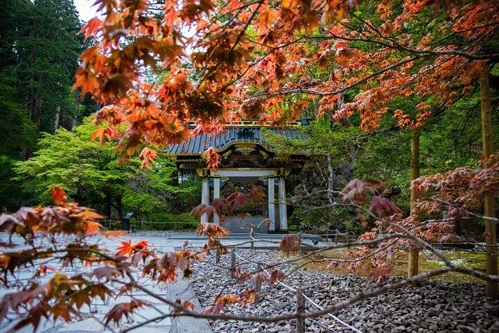 Nikko Day Private Tour With English Speaking Guide