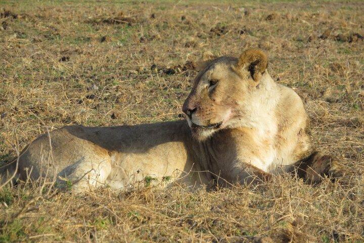 Tsavo National Park Group Tour with Game Drives