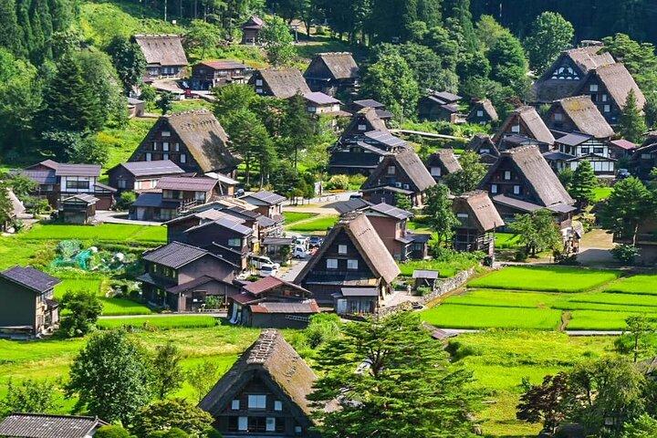 7 Day Private Tour of Tokyo Japan Highlights