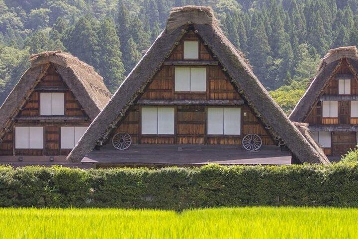 7 Day Private Tour of Tokyo Japan Highlights
