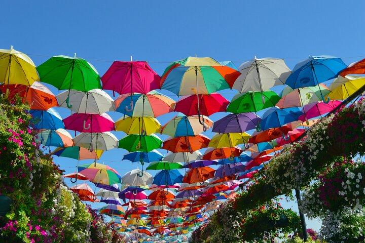 Miracle Garden and Global Village with Transfers from Abu Dhabi