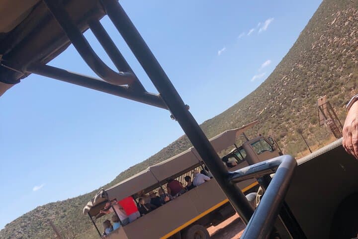 Aquila Big 5 Safari Full-Day Tour with Lunch & Transfers
