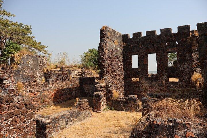 Roots River Cruise Explore Kunta Kinteh Island and Museum