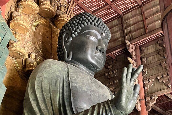From Osaka: Private Nara Tour with a National Licensed Guide