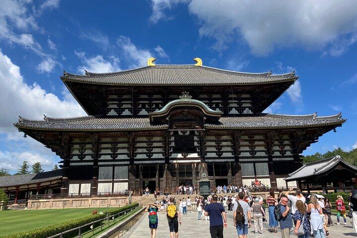 From Osaka: Private Nara Tour with a National Licensed Guide