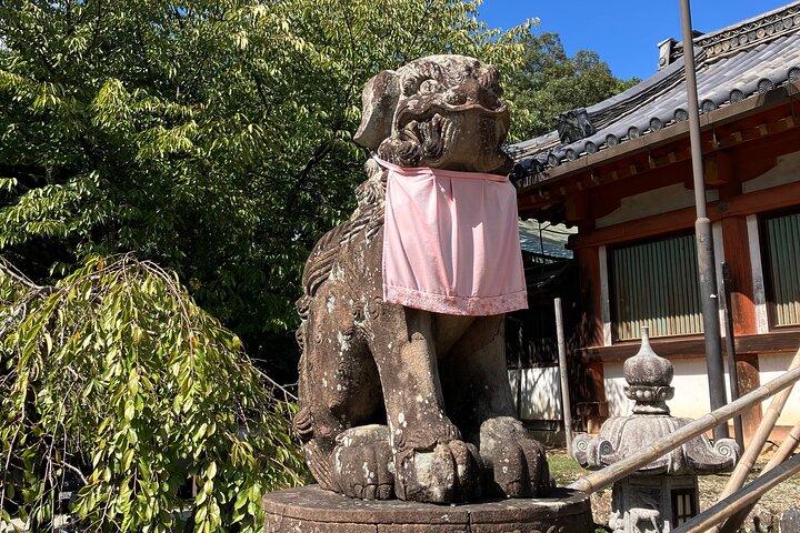 From Osaka: Private Nara Tour with a National Licensed Guide