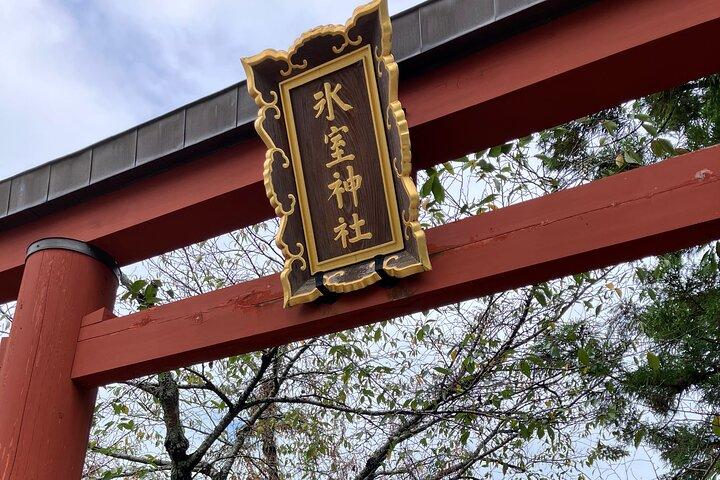 From Osaka: Private Nara Tour with a National Licensed Guide