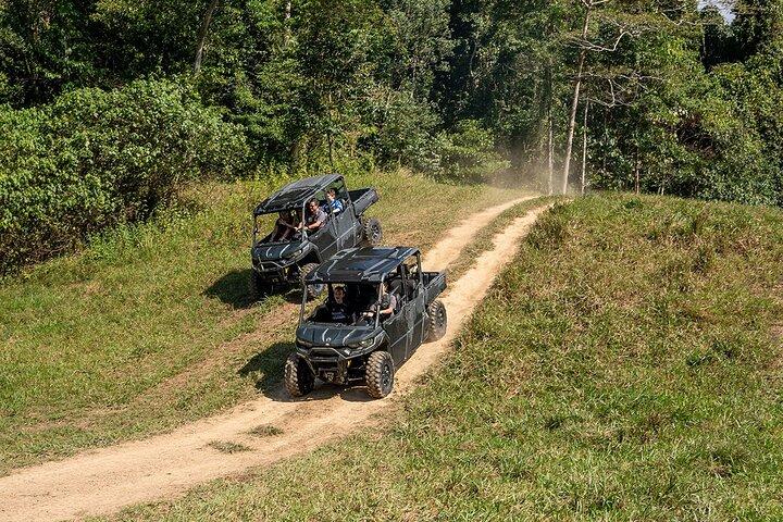 UTV 4wd Cassowary Falls and Daintree Rainforest Adventure tour