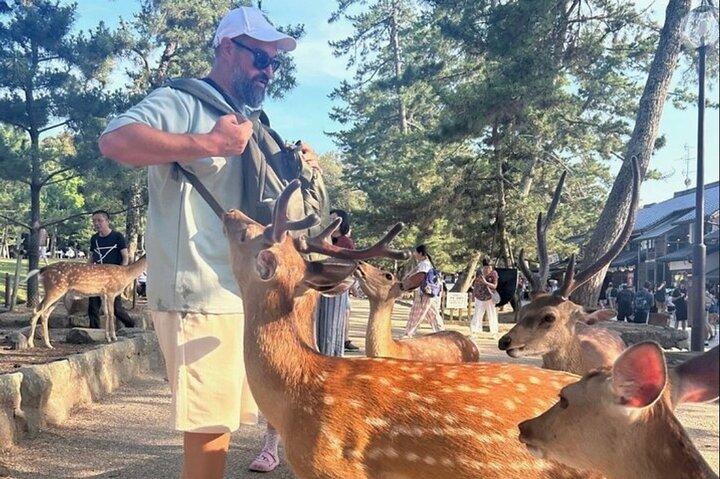 Kyoto and Nara Private Car Tour with a Local English Guide Driver