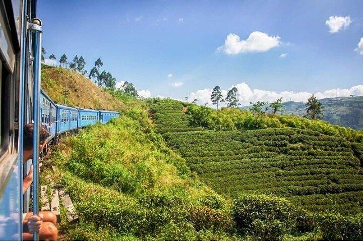 Private 8-Day Sri-Lanka Tour with Car Transportation