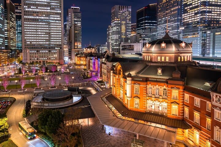 Tokyo Private Tour by Car with English-Speaking Driver (Premium)