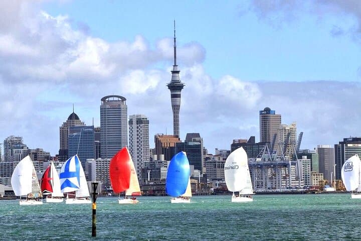 Auckland City Top Sights Half Day Tour - Small Group