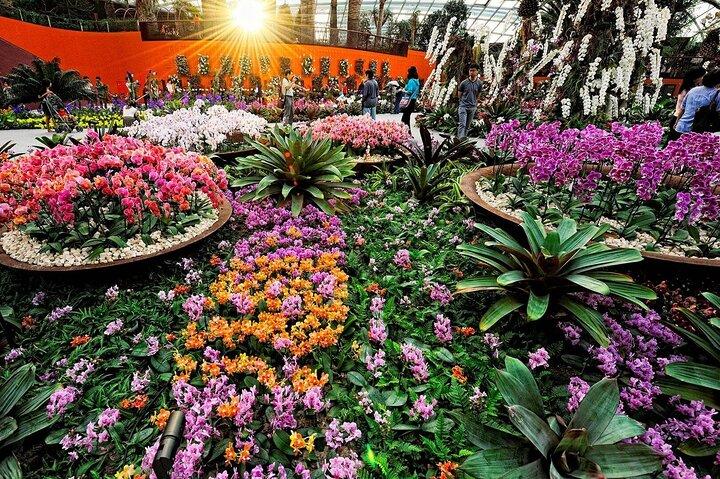 Singapore Gardens by the Bay E-Ticket: Flower Dome + Cloud Forest
