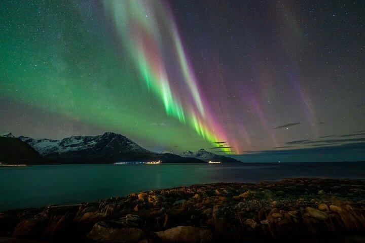 Northern Lights Chase with Sámi & local storytelling