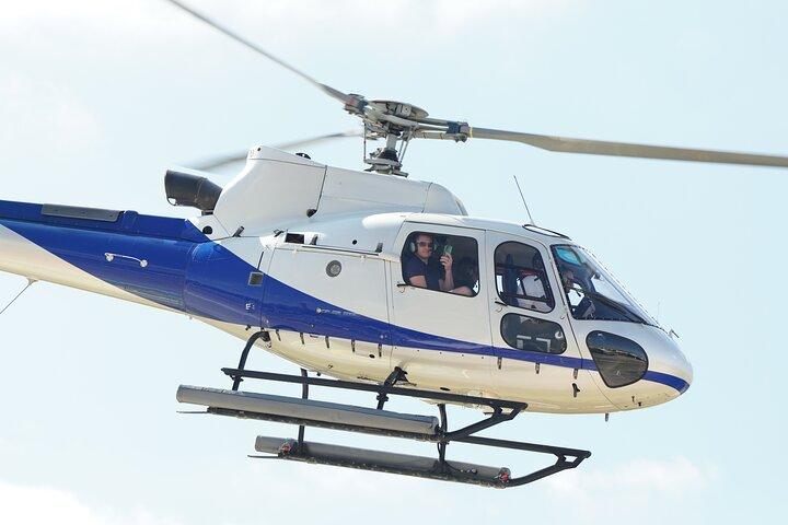 Dubai Palm and Skyline Tour by Helicopter