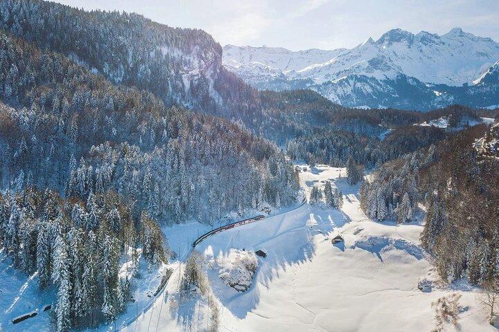 From Basel: Premium Panoramic train, Lucerne & Interlaken Tour