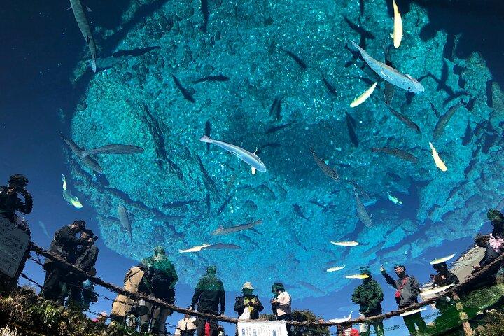 Mt. Fuji Scenic Tour: Lakes, Oshino Hakkai & Chureito PagodaTour