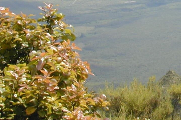 Day Trip to Mt. Longonot Adventure Along the V Shaped Valleys