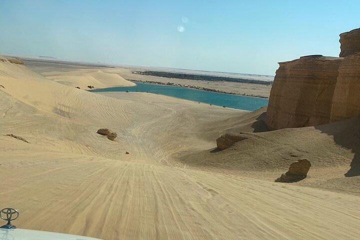 Private tour Fayoum oasis, whale valley, 10% to stray animals