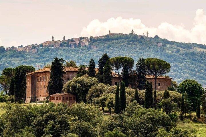 Historic Castle & Brunello Wine Experience in Montalcino